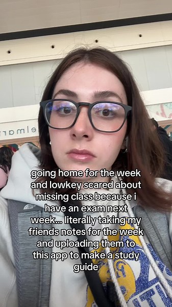 stevie studies!! on TikTok