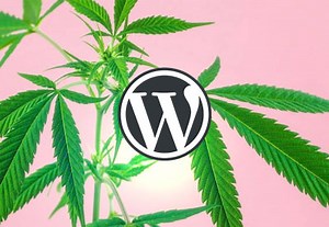 18 Best Medical Marijuana and Cannabis WordPress Themes | Envato Tuts