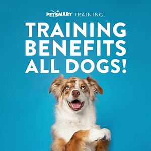 23K views | PetSmart on Reels | Facebook