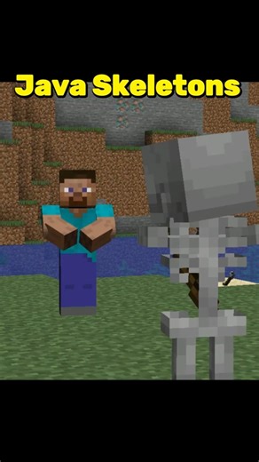 Java VS Bedrock Skeleton in Minecraft