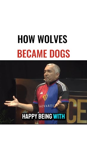 I learned two lessons from my childhood that shaped everything I do today. 🐶💛 My family taught me about respect and true leadership. Those lessons shaped me and deepened my connection with dogs today. 👉 Watch more videos like this on my YouTube channel! Aprendí dos lecciones en mi infancia que dieron forma a todo lo que hago hoy. 🐶💛 Mi familia me enseñó sobre el respeto y el verdadero liderazgo. Esas lecciones me formaron y fortalecieron mi conexión con los perros. 👉 Ve más videos como est