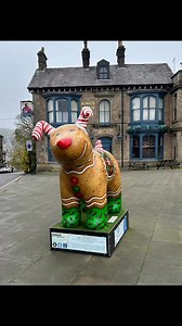 18K views · 233 reactions | The Snow Dog trail raising funds for Blythe House  | High Peak Live | Facebook