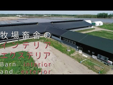 【酪農】【初心者必見】フリーストール牛舎の構造を解説。What is Free stall burns?