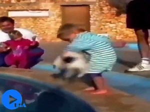 humans VS animals 🐶🐮 | Guilty Enjoyment