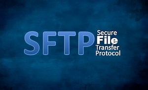 How to upload file on SFTP  using Asp.Net C#