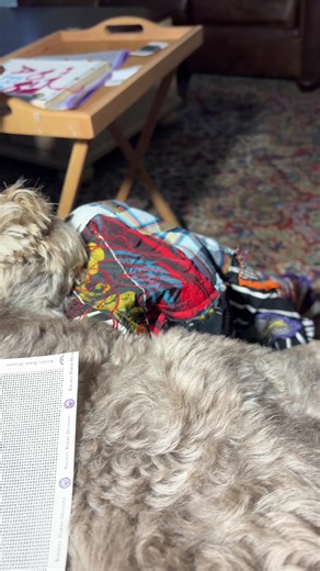 Needlepoint Techniques for Beginners and Enthusiasts