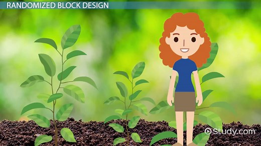Randomized Block Design in Statistics | Experiment & Example