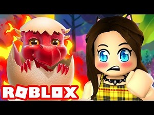 The cutest little dragon in Roblox!
