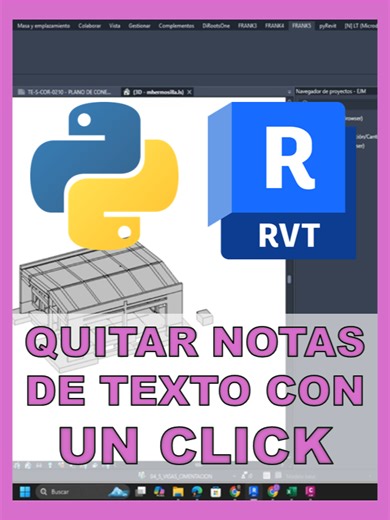 Eliminar Notas de Texto en Revit con Python