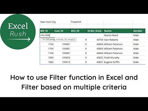 How to use Filter function in Excel and Filter data based on 1 or 2 or more criteria