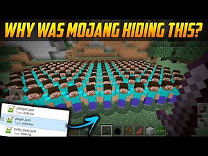 Minecraft PE's Hidden Mob #1: Player