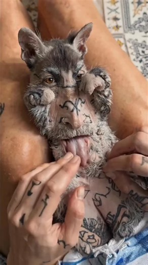 Mo'nay Dempsey on Instagram: "New Pets Unlocked 👺 This scared the 💩 outta me! 😲 Aliens 👽🛸 They do exist 😱 I've never been more uncomfortable in my life 😒 I know it's fake but I don't know how it's fake 😭 I usually have a pretty high tolerance for this type of stuff but this is the most horrific sh!t I have never seen. Just signed up for better help. 😵‍💫 What the fck have I done to get here? 🤣 . . . #fyp #aiart #reels #wtf #explorepage"