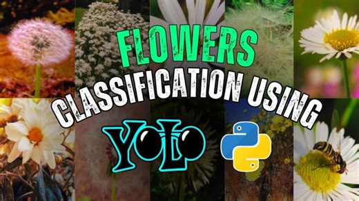 Train Custom Flowers Classification Model using YOLOv8 | Complete Deep Learning Tutorial