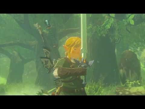 Master Sword Heart Requirement