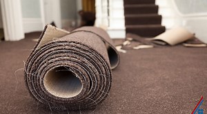 6 Carpet Brands to Avoid (& 5 Most Durable)