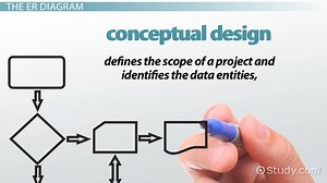What is the Entity-Relationship Model? - Diagram & Examples