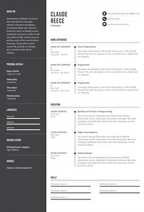 Game Programmer Resume Example | Resume Tips + Templates And More | Resume Example
