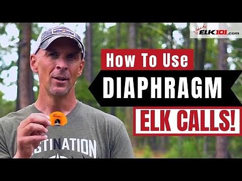 Learn to Use Diaphragm Elk Calls
