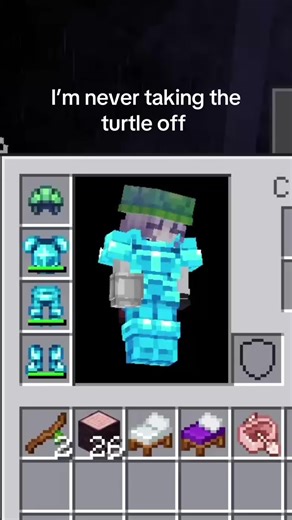 Minecraft Turtle: Fun Actions and Customization Tips