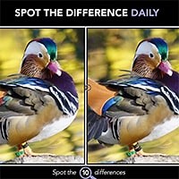 Spot The Difference Daily Game - Play at Hidden4Fun