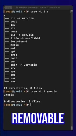 Linux /media directory explained!