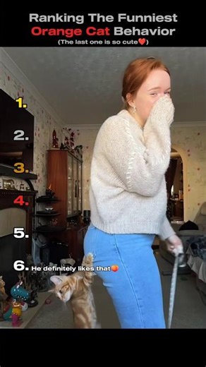 Ranking The Funniest Orange Cat Behavior😹🧡(You Won't Believe No.1)#shorts