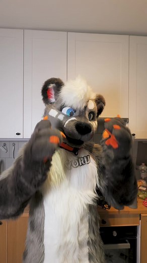 She's talking about my secret receipt of stuffed cake, nothing interesting really #фурсьют #фурри #fursuit #furry