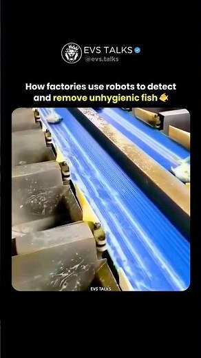 🤖🐠 AI vs Bad Fish! How Factories Keep Your Seafood Safe Using Robots