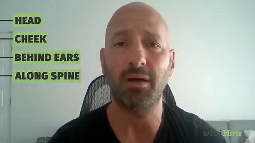 How to Play With Cats