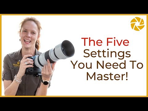 Nature Photography Tips For Beginners