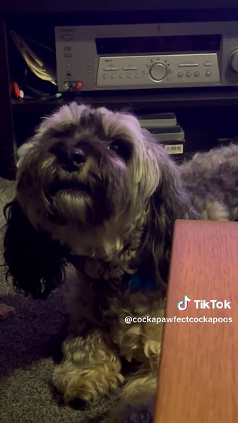 Too cute not to share! 😍🤣