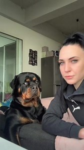 13M views · 10K reactions | Bark at your dog 藍 #rottweiler #barkatyourdog | Gangrottie | Facebook