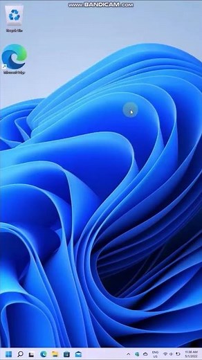 You can open Internet Explorer on Windows 11!