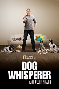 Best streaming options to watch Dog Whisperer without cable