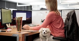 Why Bringing Your Dog to Work Can Be Great for (Almost) Everyone
