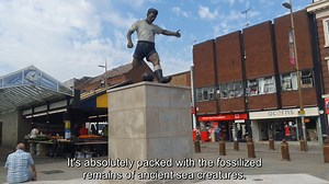 9.6K views · 642 reactions | EXPLAINED: How fossils can be found all around us 直 Matt Sutton reveals how you find remnants of ancient life...even on your High Street!  | Oxford Sparks, 2020 | University of Oxford | Facebook