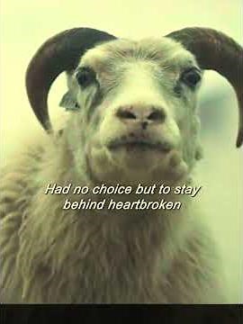 She Gave Birth ton a Ram Human Creature #horrorshorts #shorts #movierecap #horrorrecap