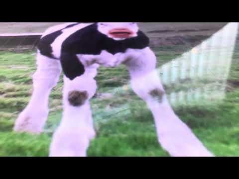 SOSO-CONSCIOUSNESS (video - mix of Cyriak’s animations)