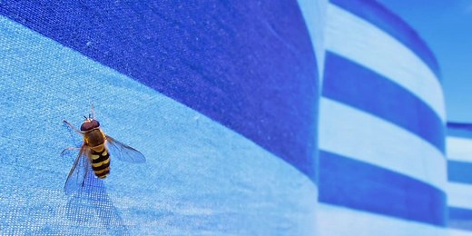 Debug Python and Django easily from Visual Studio Code