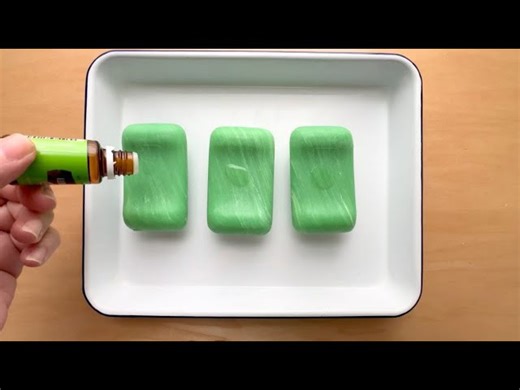 Lay 3 bars of Irish Spring soap on a tray for this brilliant outdoor idea!