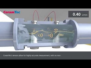 Ultrasonic Flow Sensor