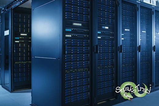 Data Center Cabling Guide | Snake Tray