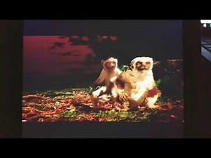 Dinosaur - Meteor Scene (HD)