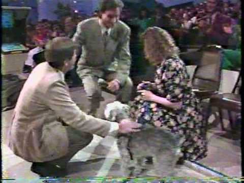 AFHV - Show #105 (Part 4)