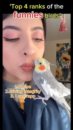 I Ranked the 4 Funniest Birds… #shocked Me 😂🦜