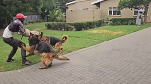 2.4K reactions · 139 shares | Keep your family safe by having your...