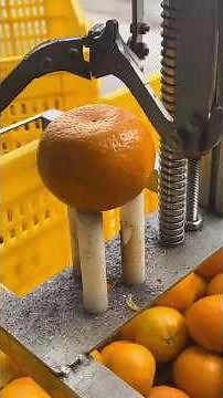 Orange.. Recognize the power of home-cooked food.. #drrobin #ayurved #food