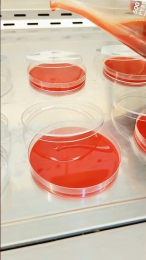 Culture Media preparation