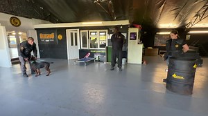 1.6K views · 76 reactions | Chinese Red dog Cesar 17 weeks old! Scent Detection! Using markers to establish the Down Indication! Cedars first attempt! How versatile is this breed is it an option to replace the GSD? How intelligent is this breed? Follow our zero2hero program! | DDR GUARD DOGS | Facebook