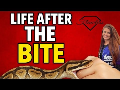 My First Ball Python Bite 😳 — Did It Set Me Back?